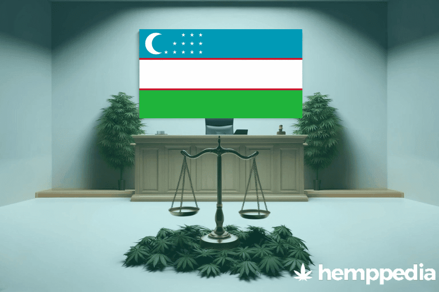 La cannabis è legale in Uzbekistan? – Update 2024